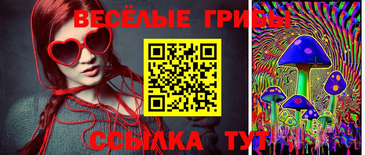 Галлюциногенные грибы MAGIC MUSHROOMS  Вход с VPN  Ефремов 
